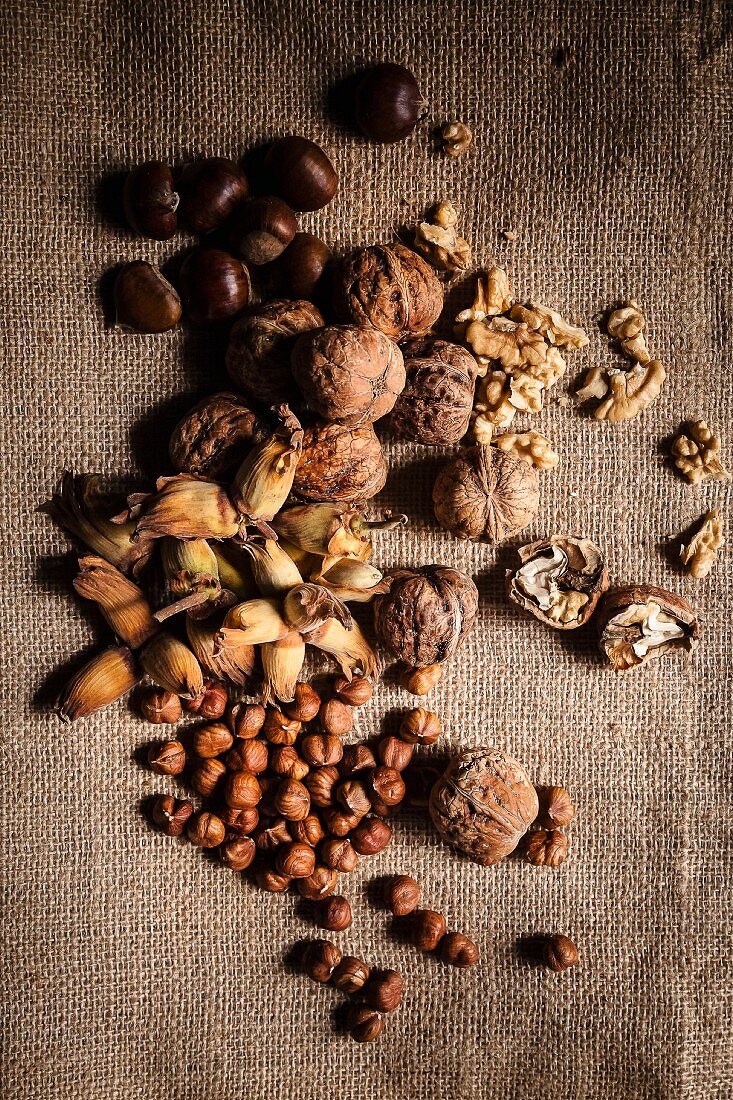 Walnuts, hazelnuts and chestnuts on a piece of jute