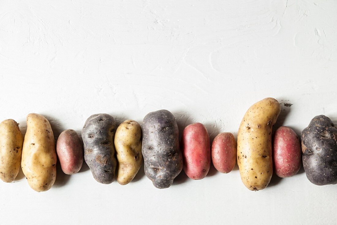 A row of various potatoes