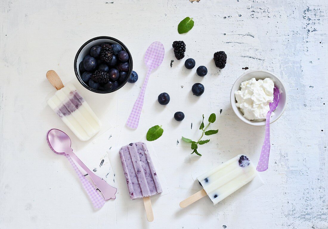 Homemade blueberry ice cream and ingredients