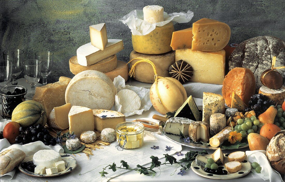 Large Assorted Cheese Still Life