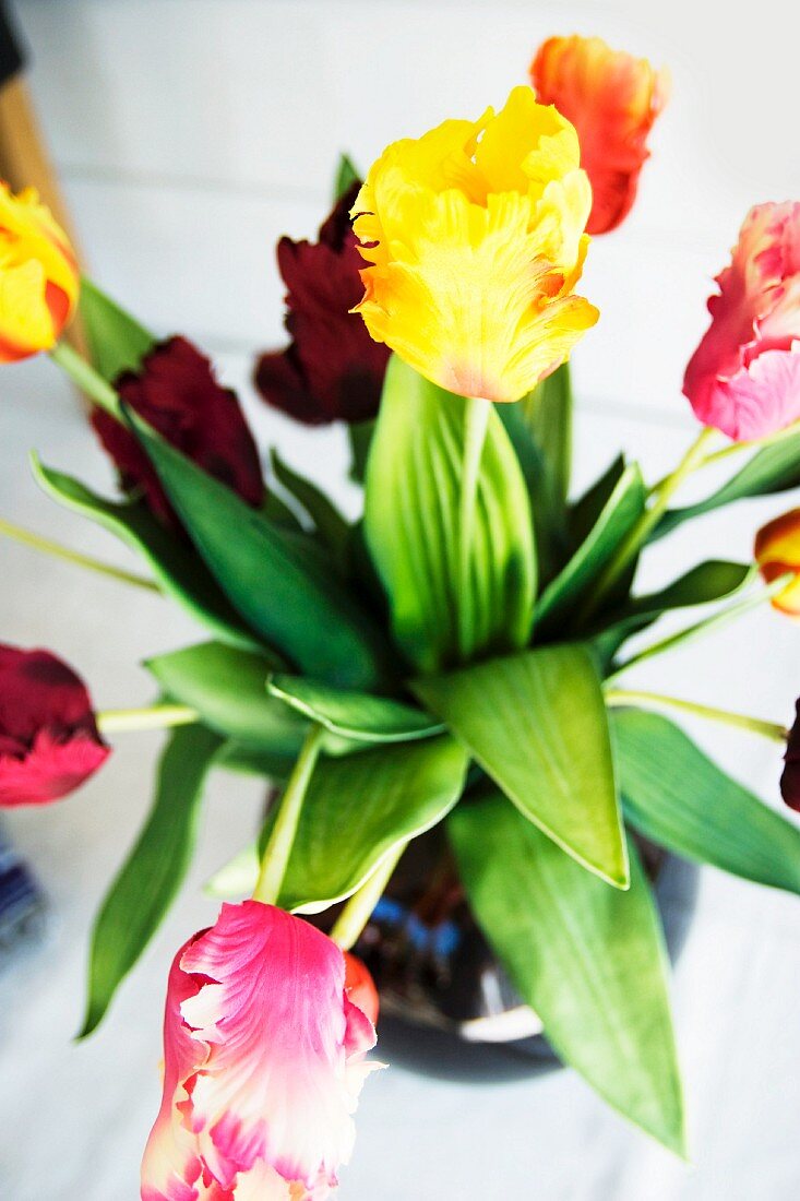 Bunte Tulpen in einer Vase