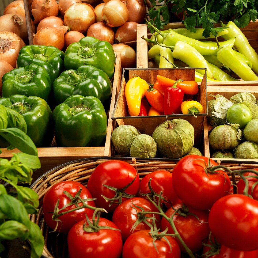 Bio-Tomaten, Tomatillos, Paprikaschoten, Peperoni, Zwiebeln und Basilikum in Behältern auf dem Bauernmarkt