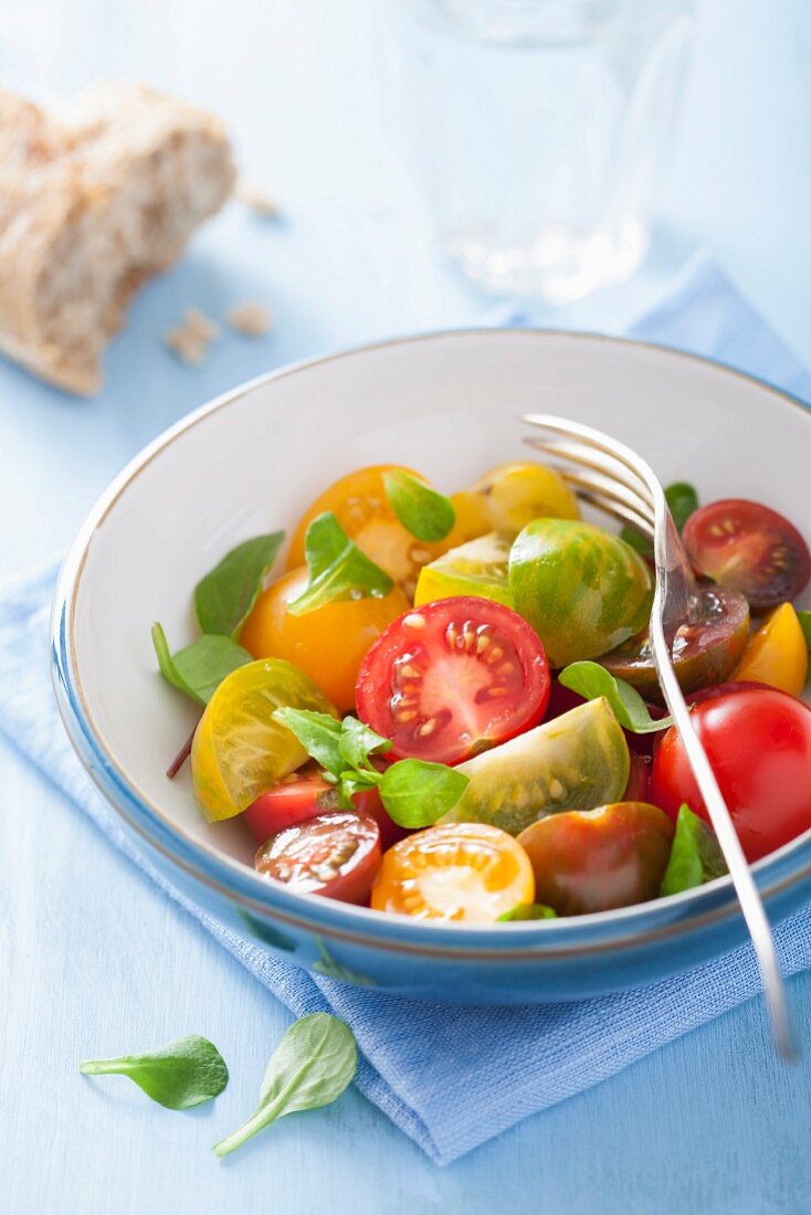 A colourful tomato salad with a chunk of bread an basil leaves