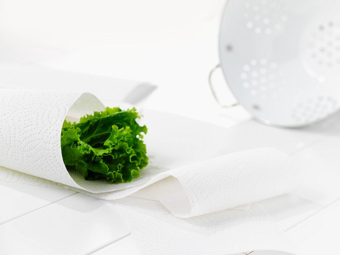 A green lettuce leaf wrapped in kitchen towel