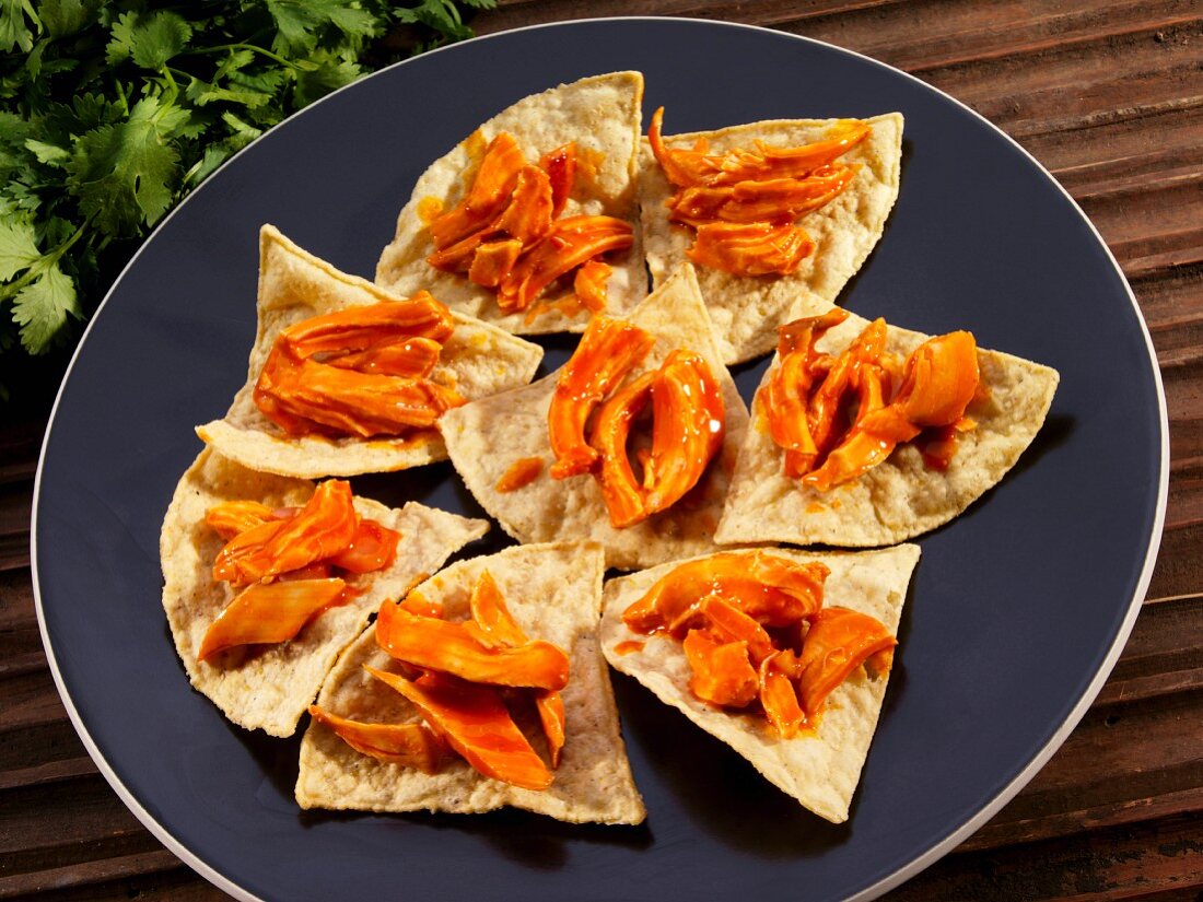 Tortillachips mit Pulled Chicken in Chipotle-Sauce (Mexiko)