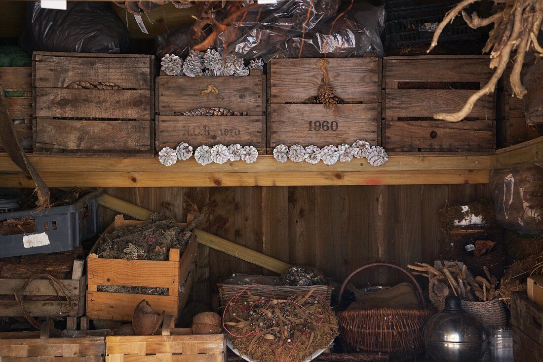 Baskets and old wooden boxes filled with pine cones on a shelf in a storage shed