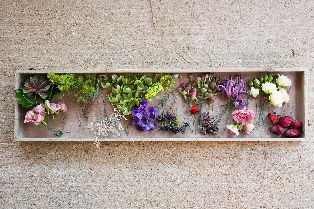 Verschiedene Blüten im Kasten auf Betonuntergrund