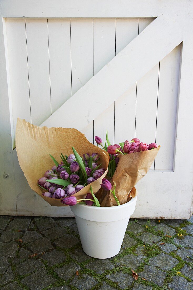 Bunches of pink and purple tulips wrapped in paper in a white flowerpot in front of a white wooden gate