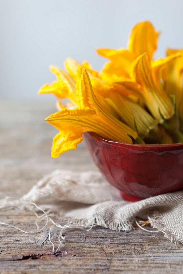 Zucchiniblüten in roter Schüssel auf rustikalem Holztisch