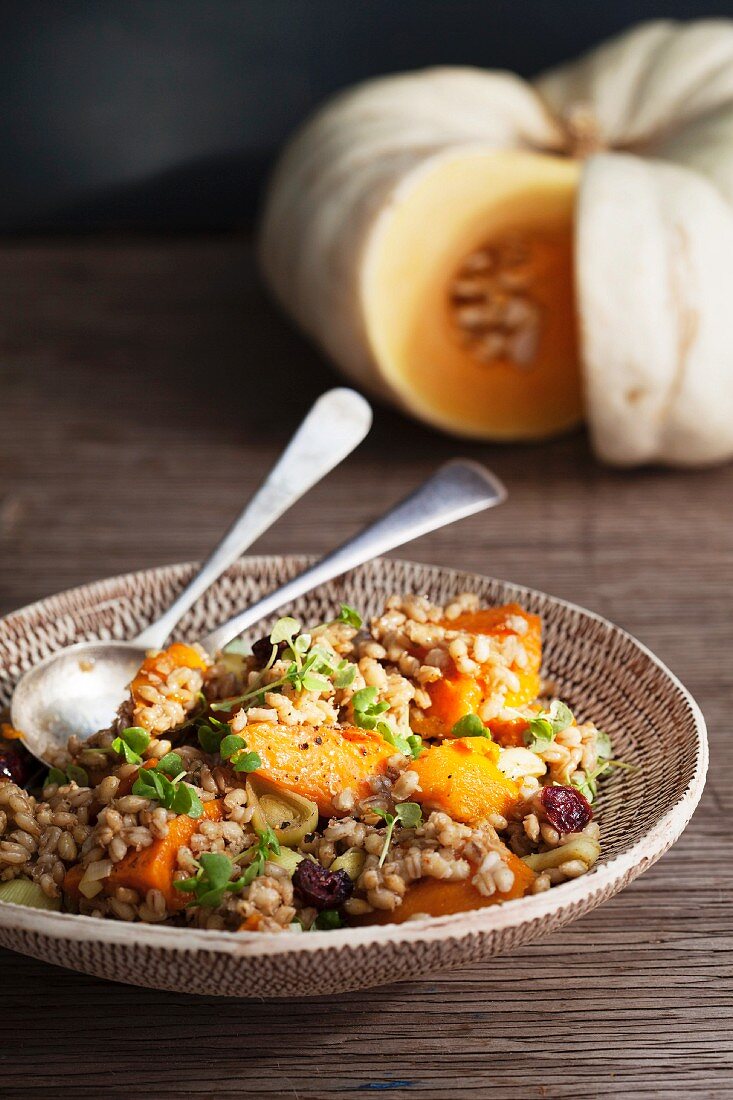 Barley and pumpkin salad with cranberries