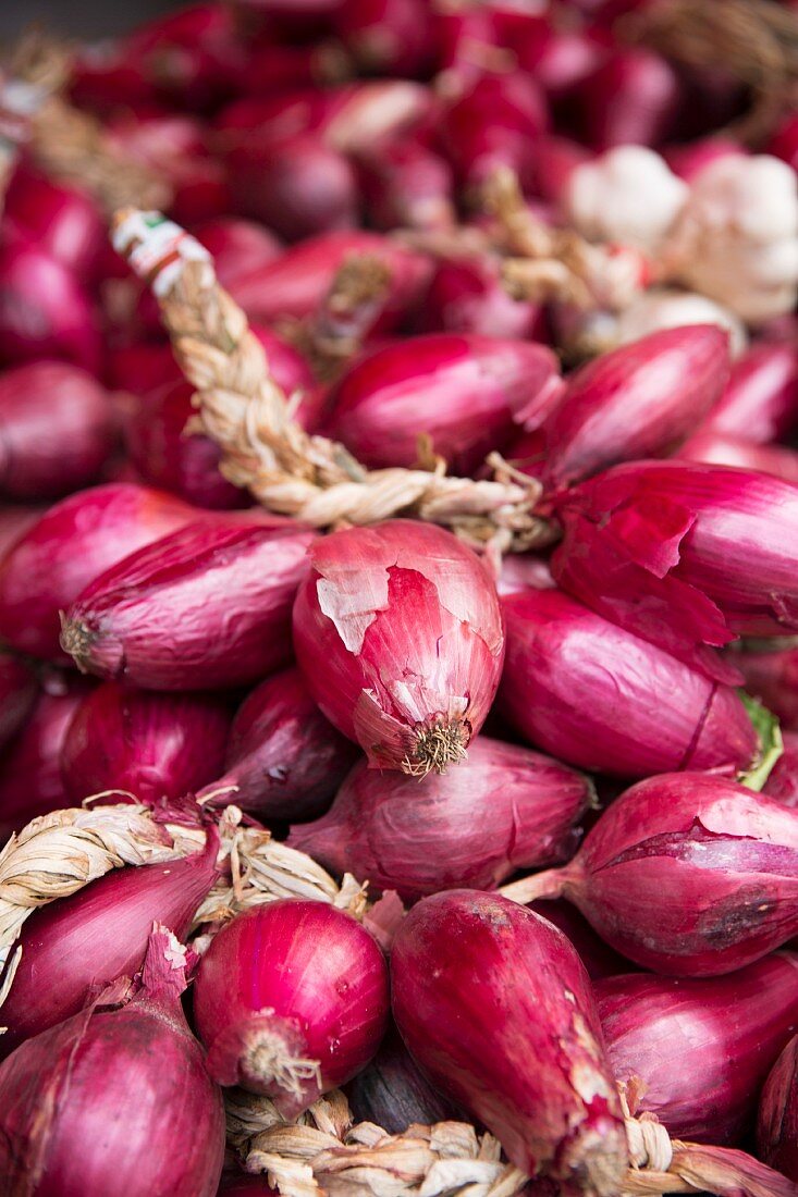 Rote Zwiebeln und Knoblauch (Close Up)