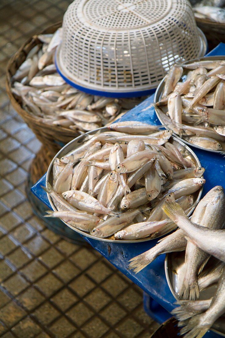 Frische Fische auf dem Markt von Margao, Goa, Indien
