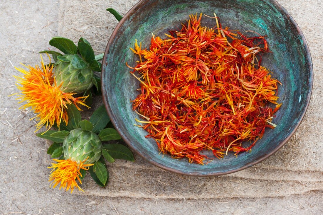 Safflower: fresh flowers and plucked, dried petals in a metal bowl