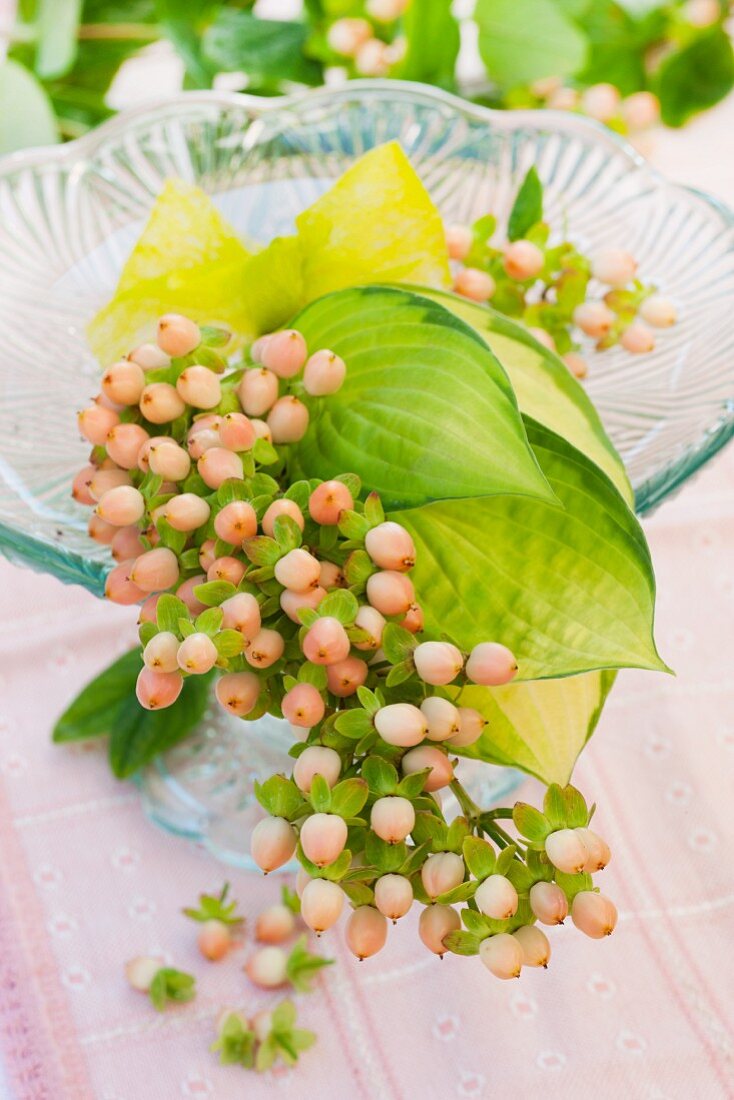 A bouquet of unripe redcurrants and hosta leaves on a glass cake stand as table decoration