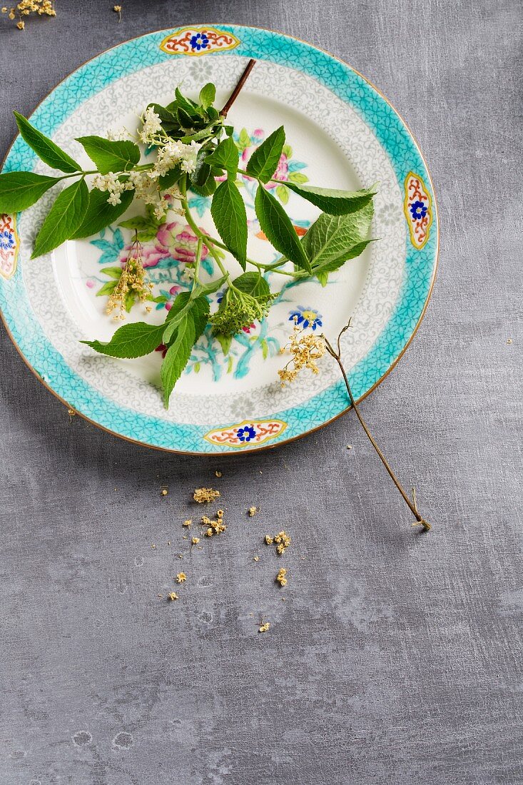 Elderflowers, dried and fresh