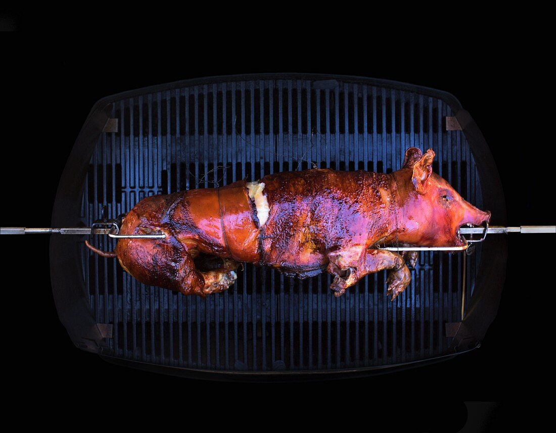 A suckling pig being grilled