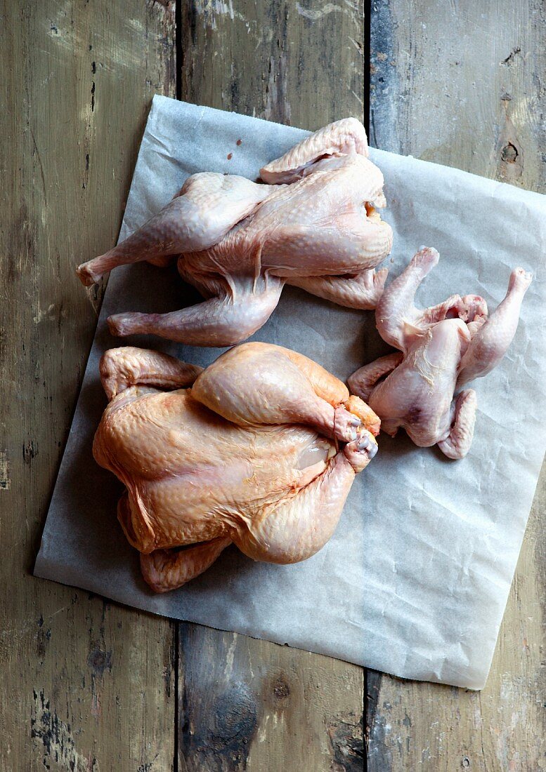 Chickens and a spring chicken on a piece of parchment paper