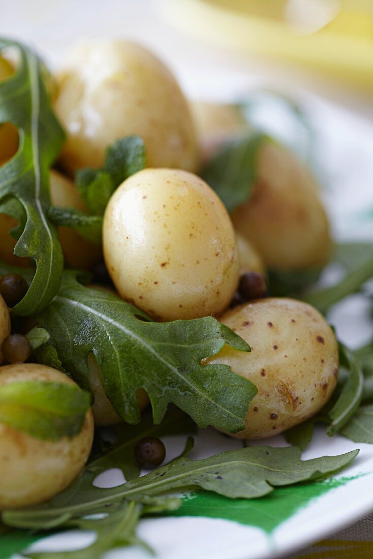 Neue Kartoffeln und Rucola Salat