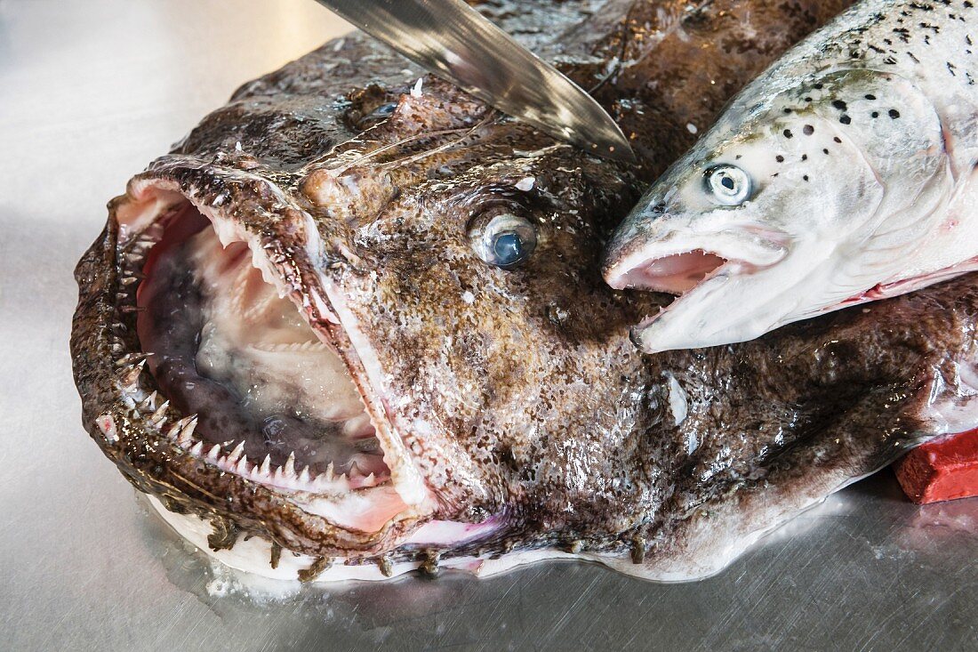 Monkfish in malay