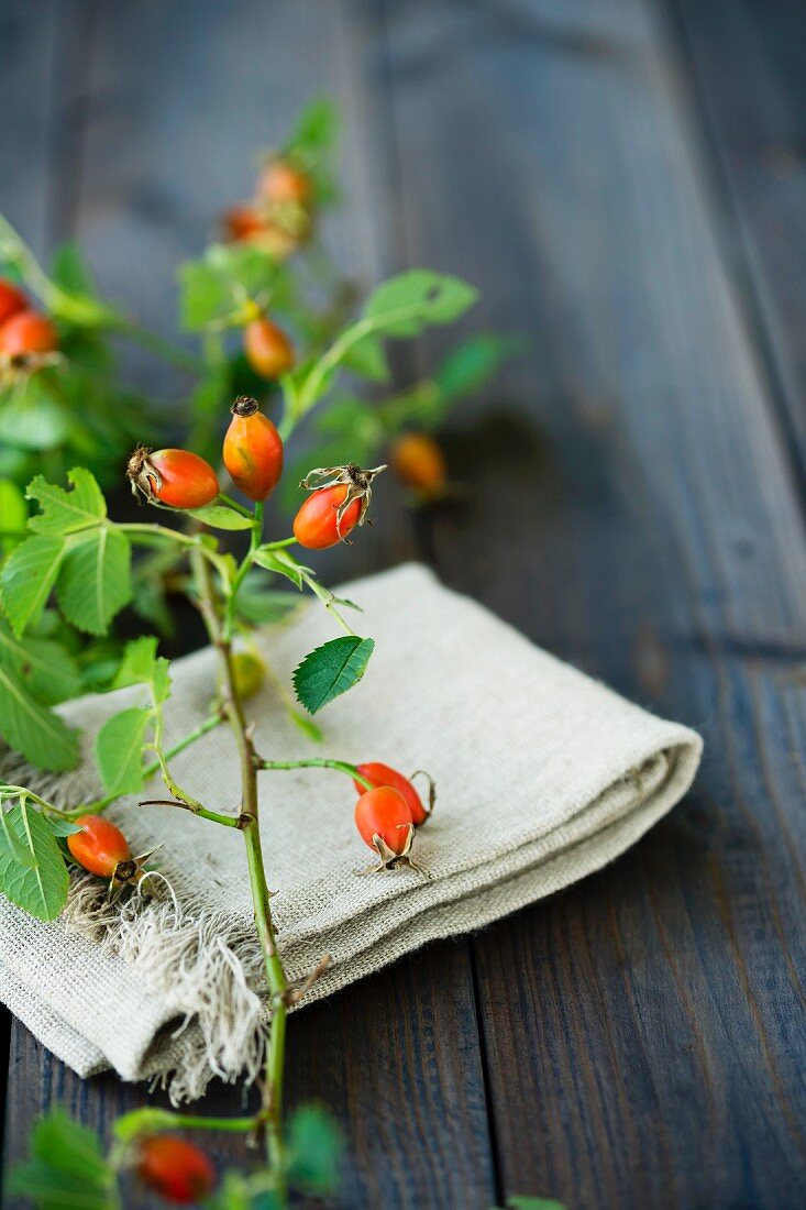 A sprig of rosehips on a linen cloth and a wooden table