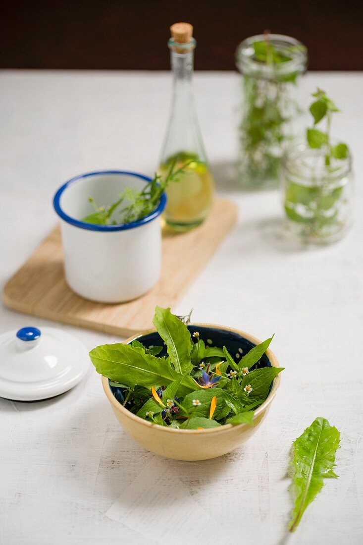 Dandelion and quickweed salad