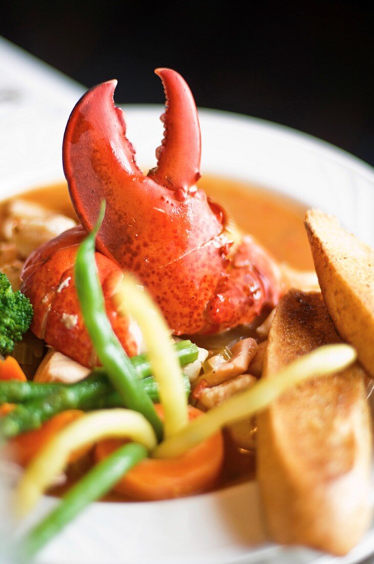 Canadian bouillabaisse with lobster