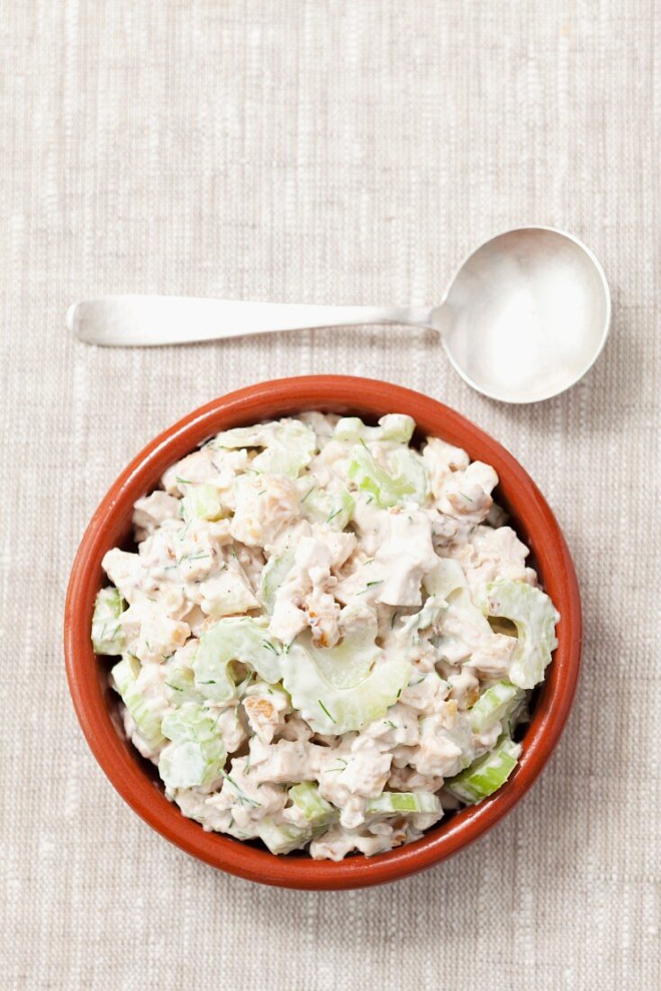 Grilled chicken, celery, walnut and mayonnaise spread