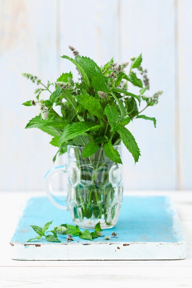 Fresh, flowering mint in a glass of water