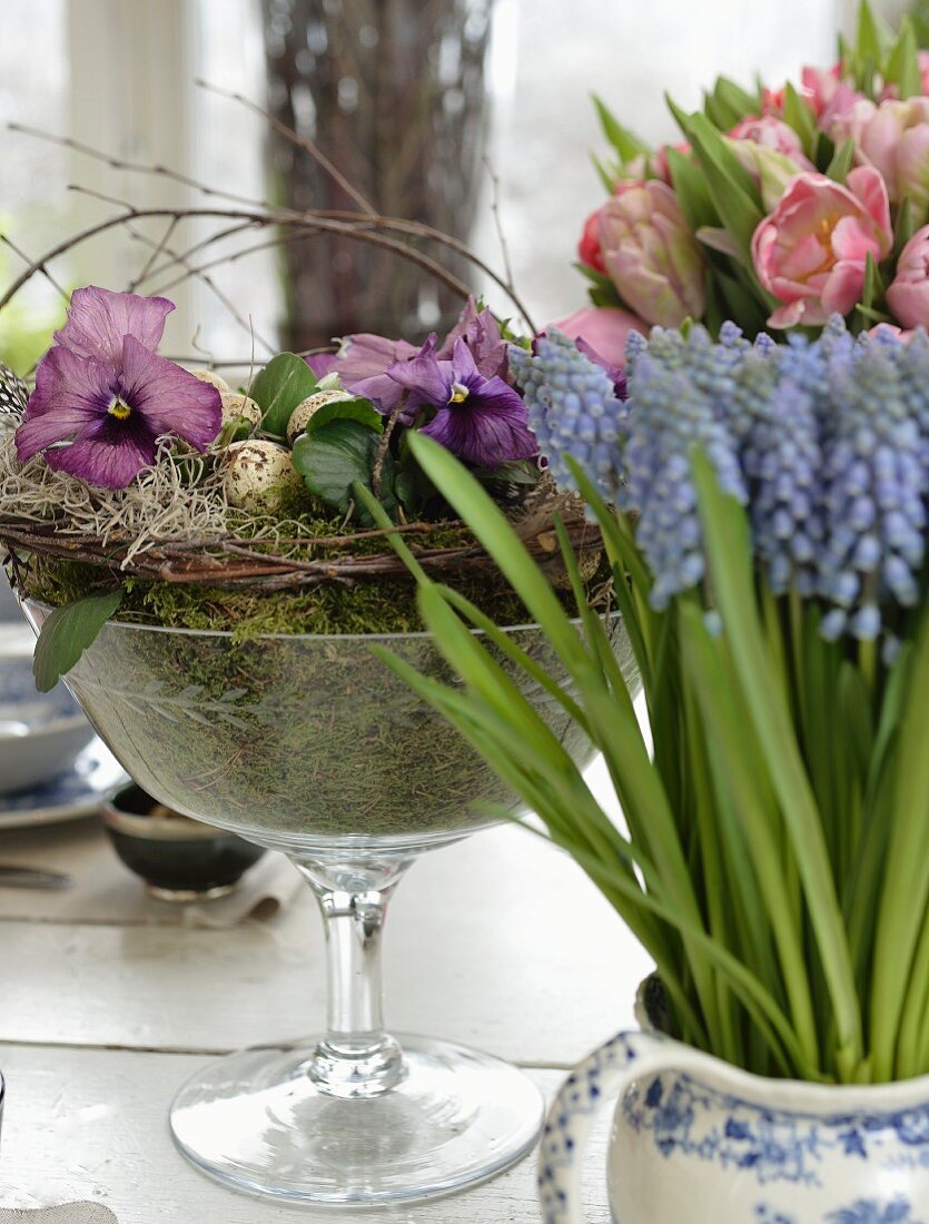 Grape hyacinths, vase of tulips and moss arrangement in glass goblet on dining table