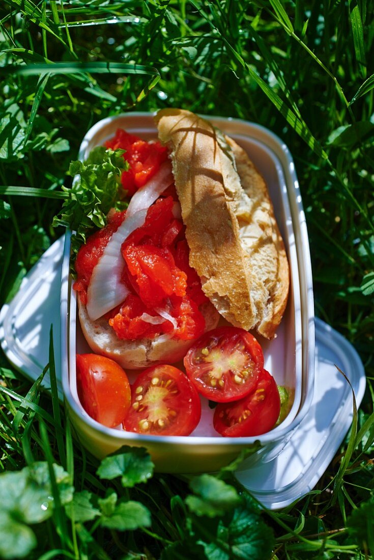 Sandwich mit Seelachs und Tomaten in Picknickdose