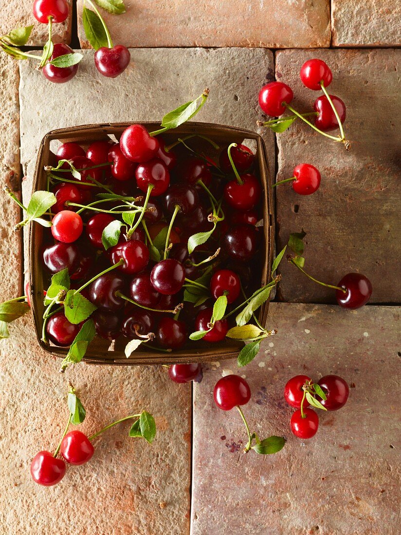 Fresh cherries in a wooden basket on a tiled floor