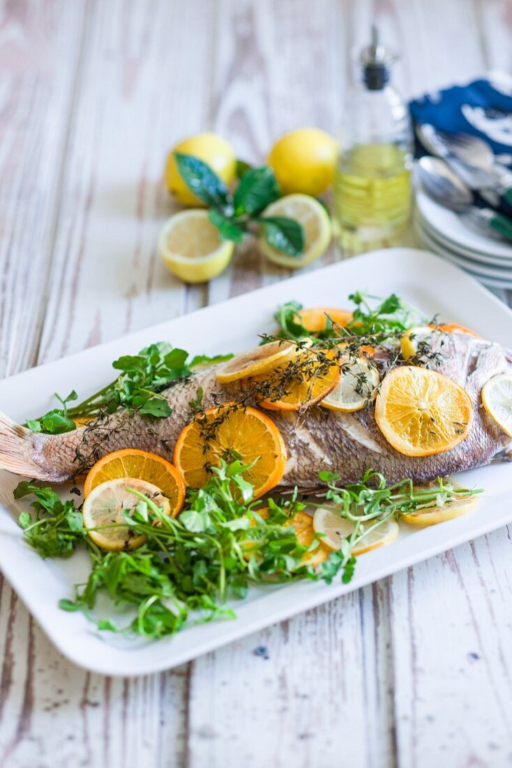 Red Snapper mit Zitrone, Orange und frischen Kräutern