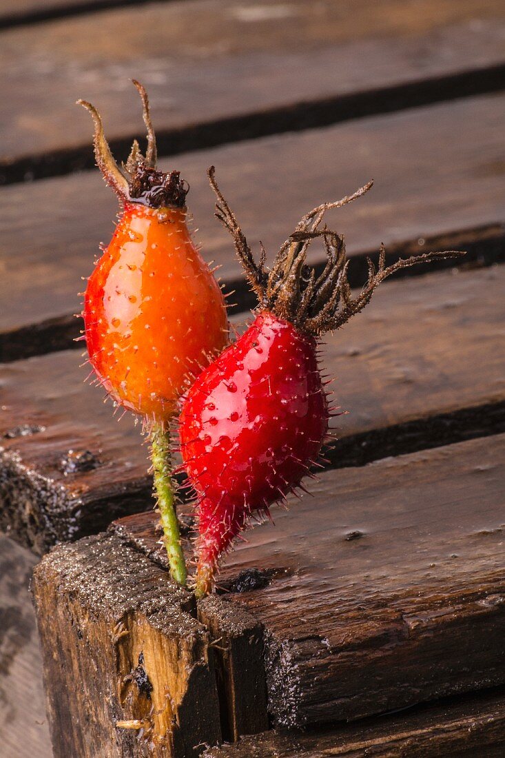 Two rosehips stuck into a wooden crate