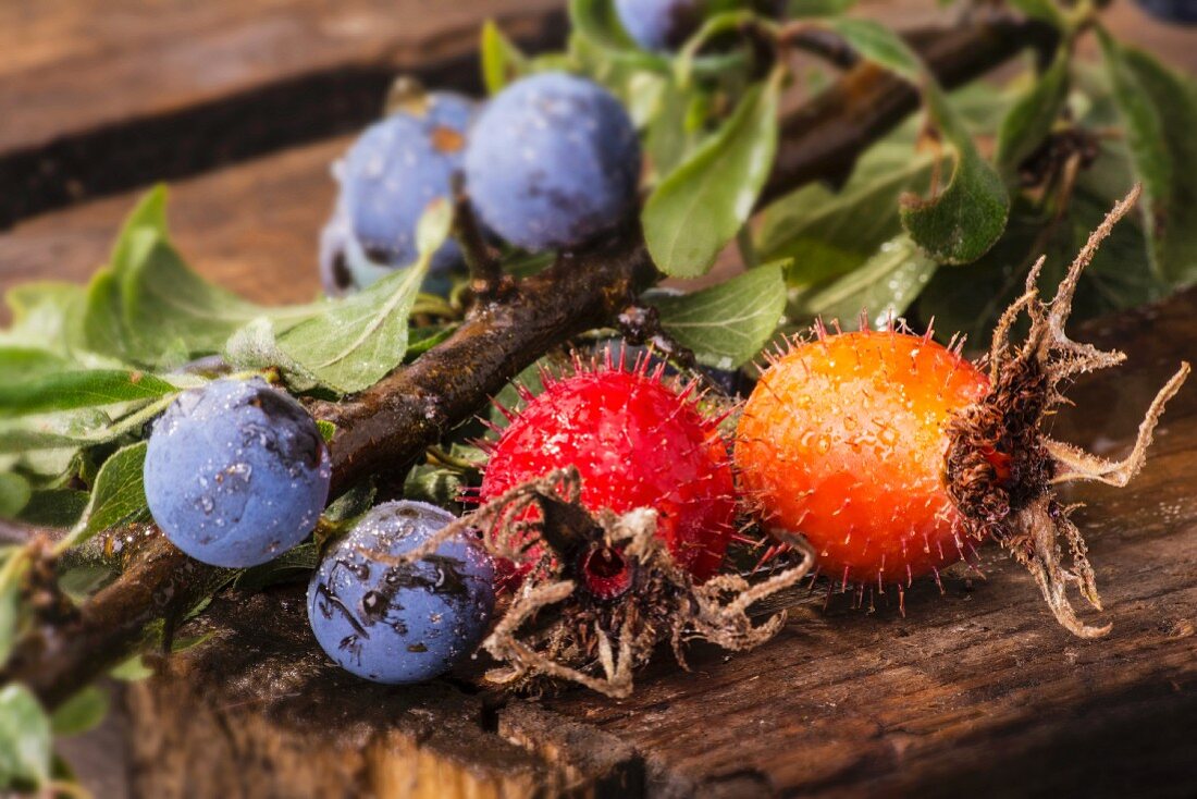 Rosehips and sloes on a wooden crate