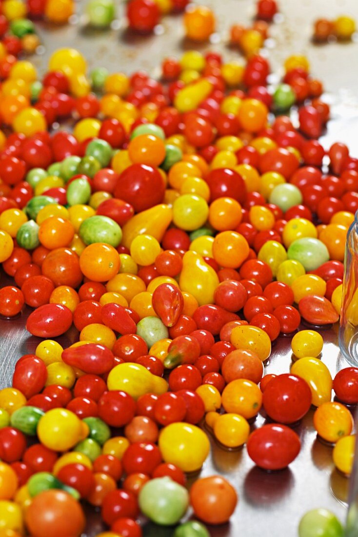 Tomatoes for preserving