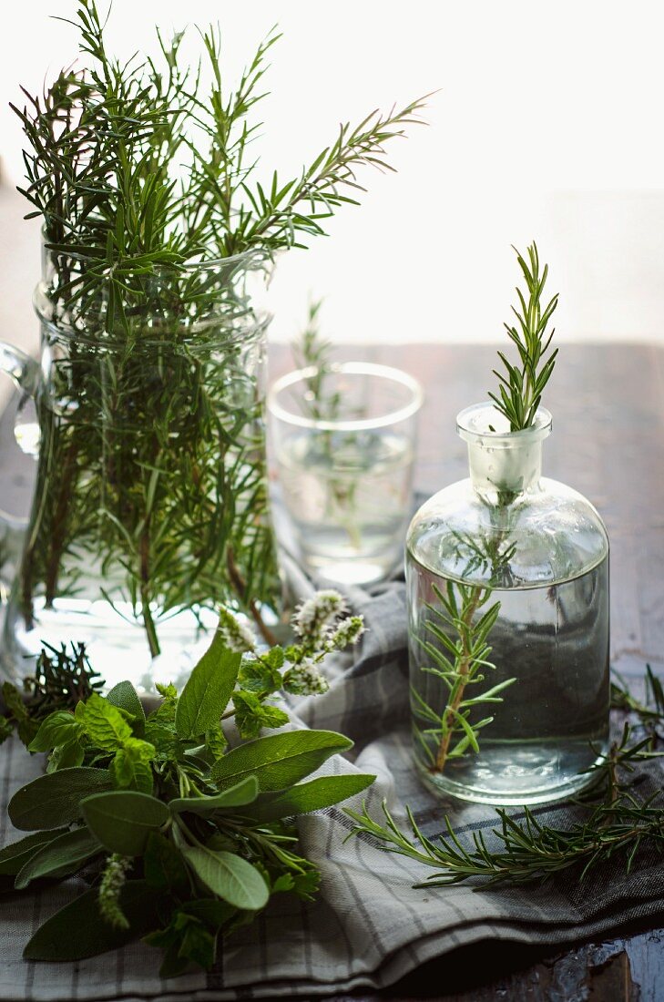 Various herbs in glass containers