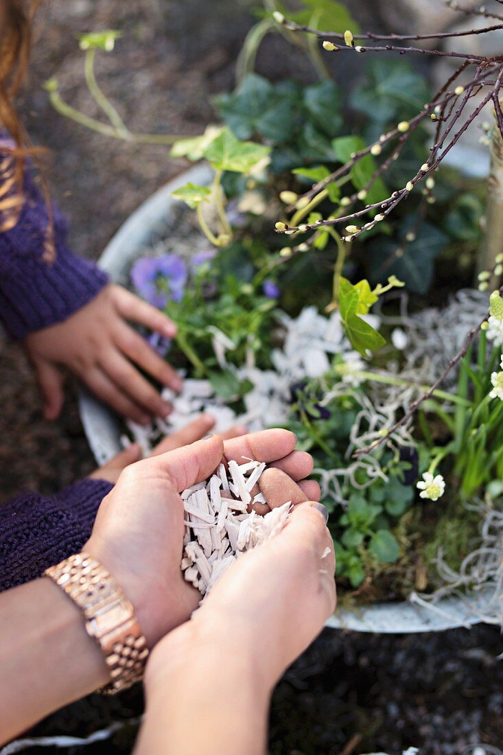 Frauenhände und Kinderhand beim Gestalten eines Frühlingsgestecks mit Weidenkätzchen und Frühlingsblühern