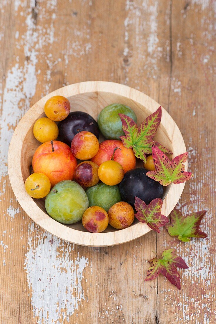 Various plans and a wooden bowl decorated with colourful vine leaves