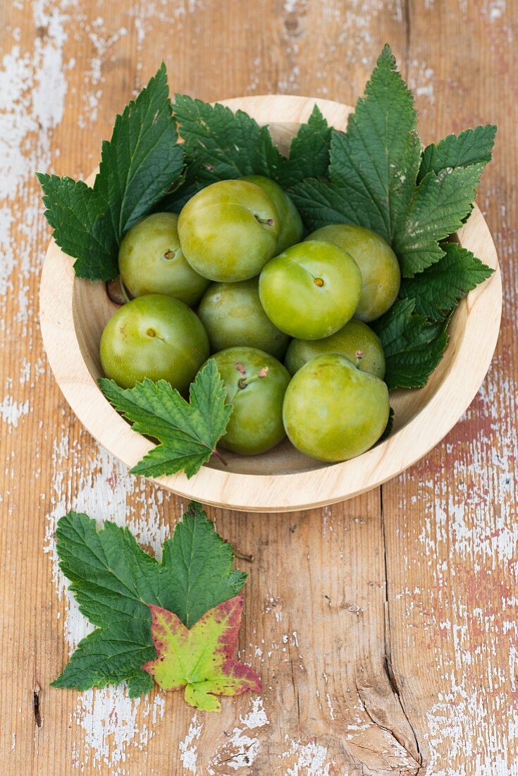Greengages in a wooden bowl with vine leaves