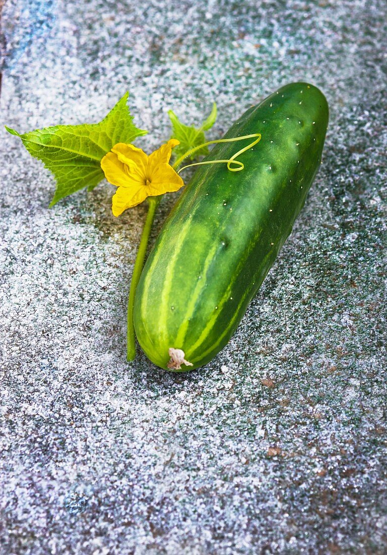 A cucumber with a flower