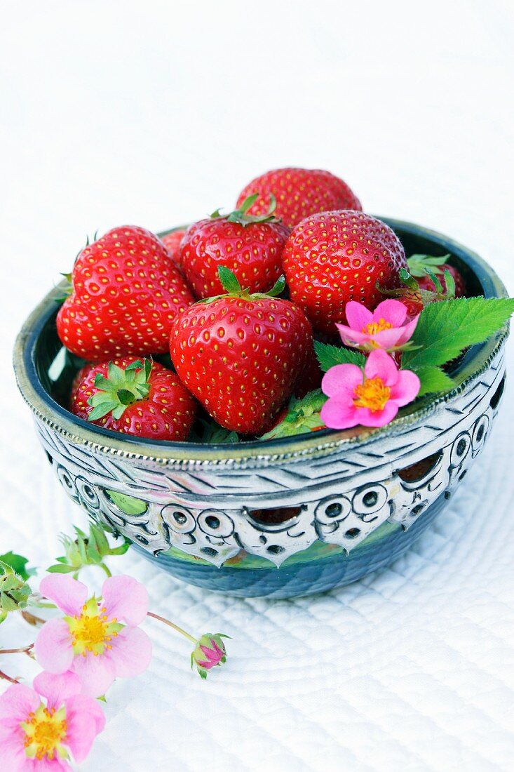 Strawberries and strawberry flowers in a silver bowl