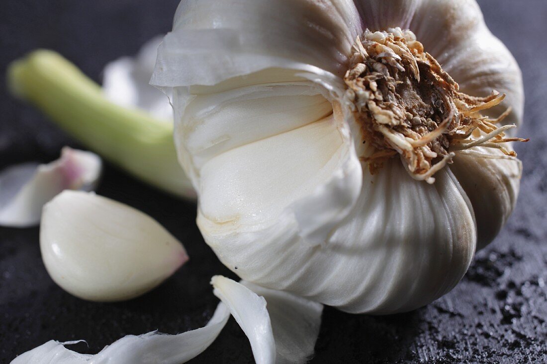 A bulb of fresh garlic (close)