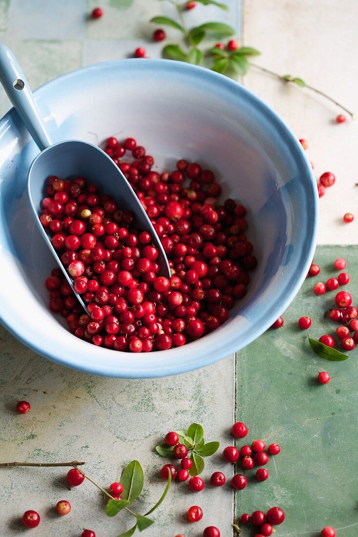 Preiselbeeren in der Schüssel