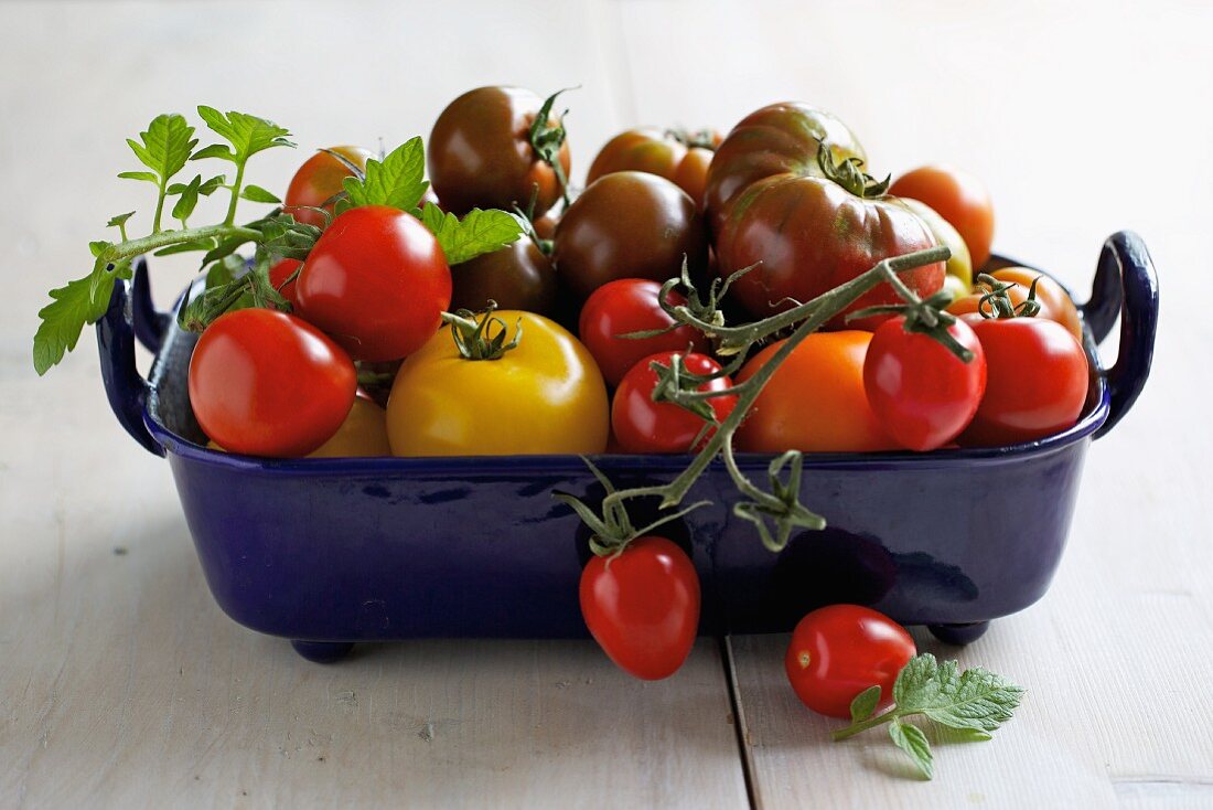 Tomatoes in a roasting dish