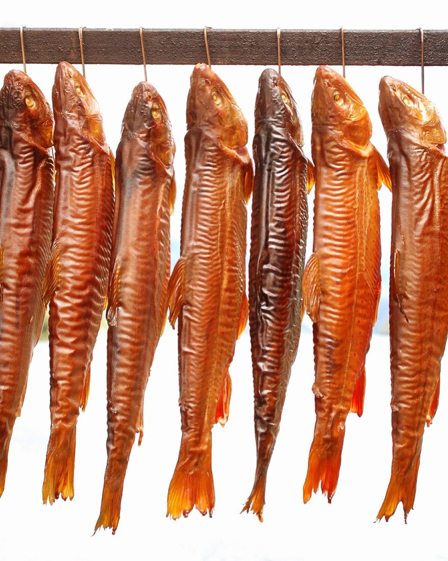 Smoked Arctic char from the Ausseerland region (Styria, Austria)