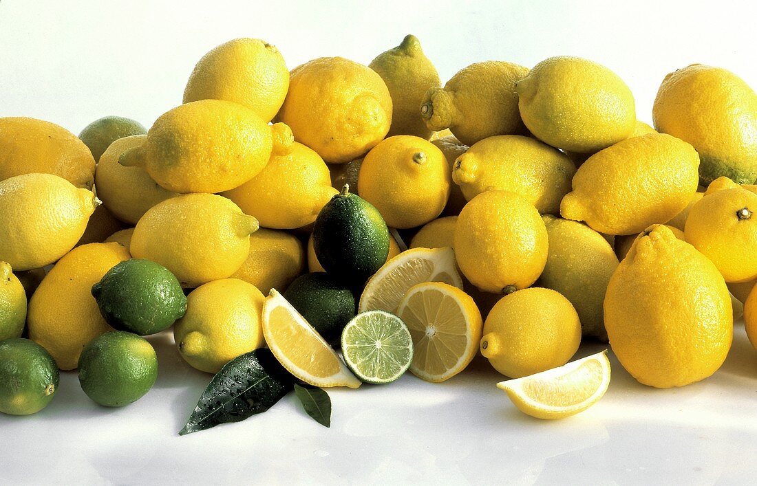 Mehrere Zitronen & Limetten