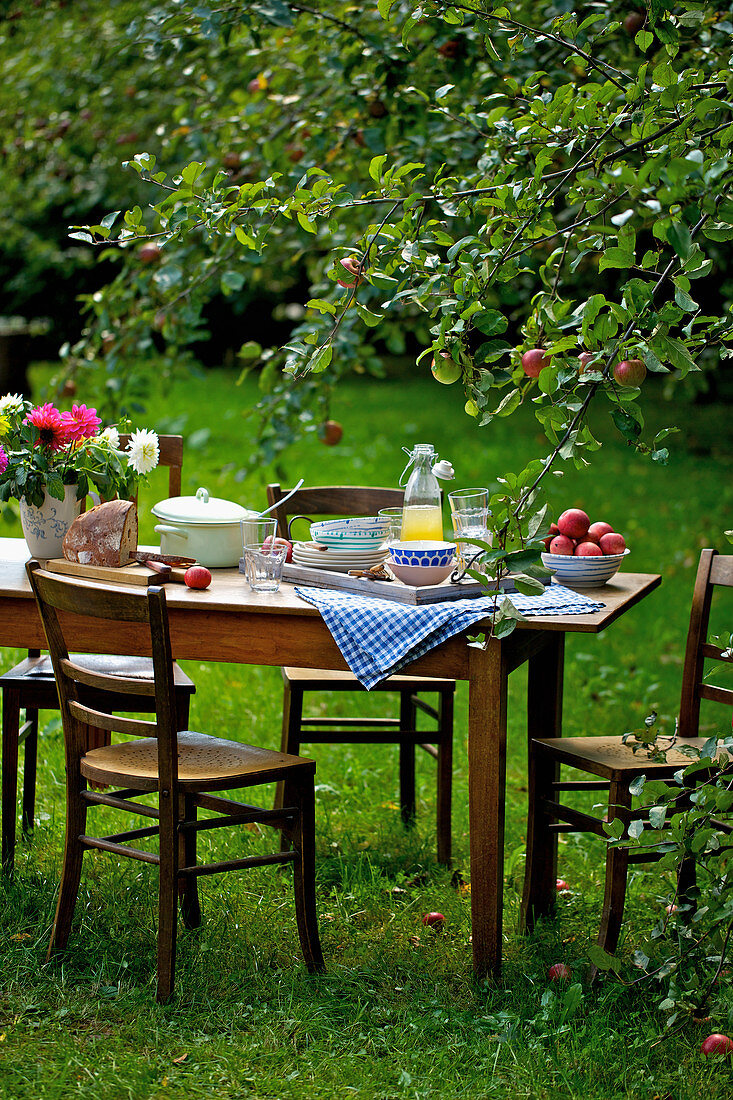 Tray of crockery on wooden plate below apple tree