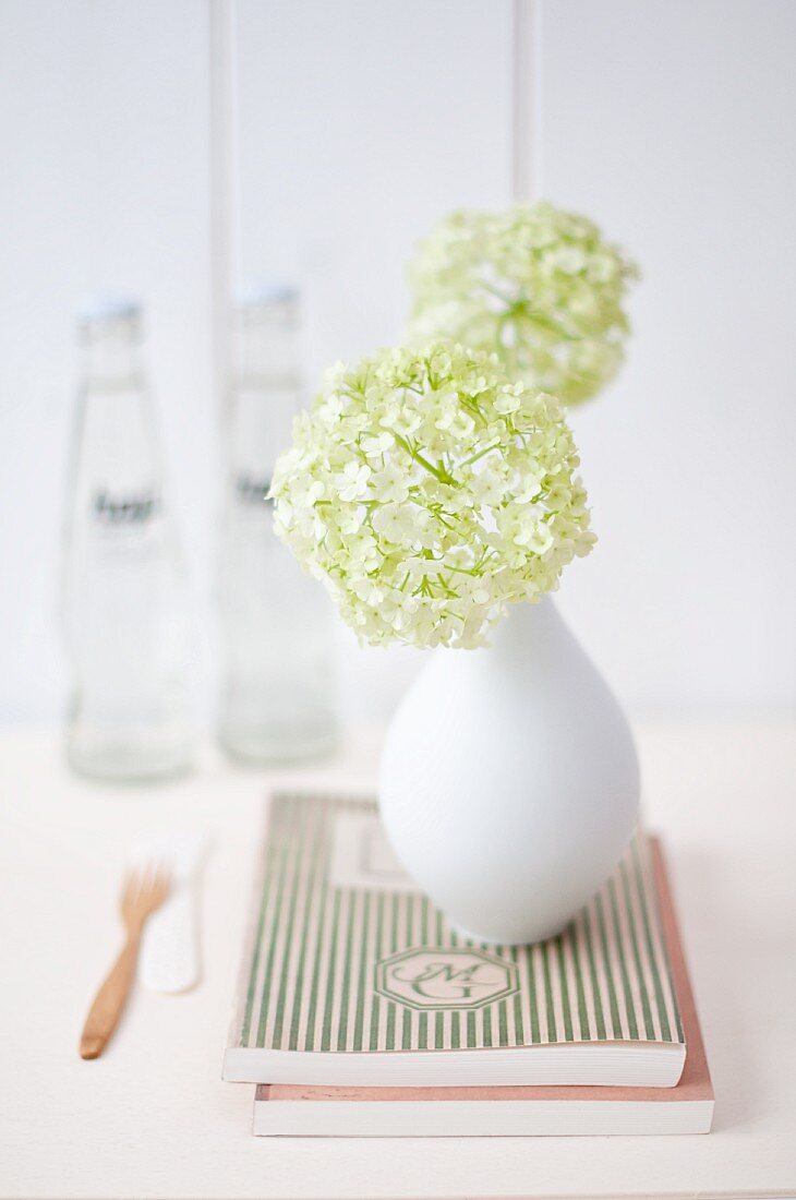 Schneeballblüte in kleiner weißer Vase