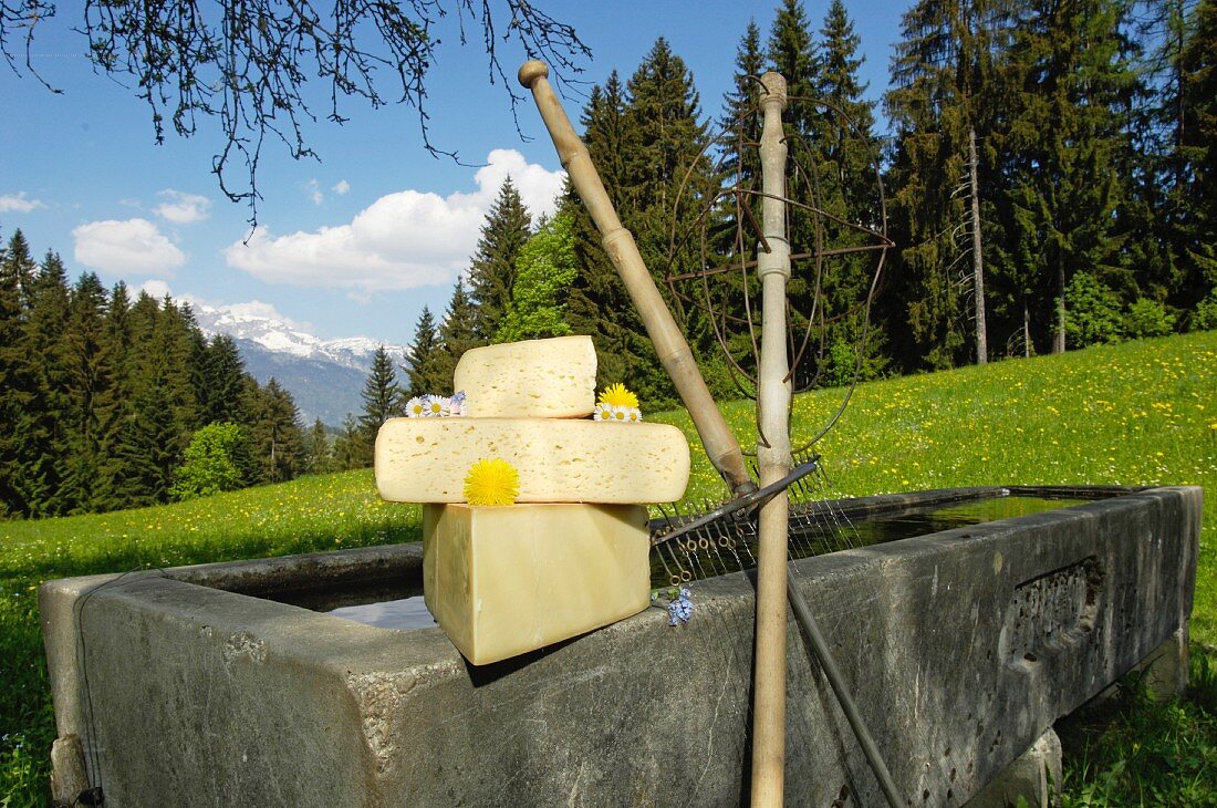 Stillleben mit Alpbachtaler Heumilchkäse auf Kuhtränke im Alpbachtal (Tirol, Österreich)