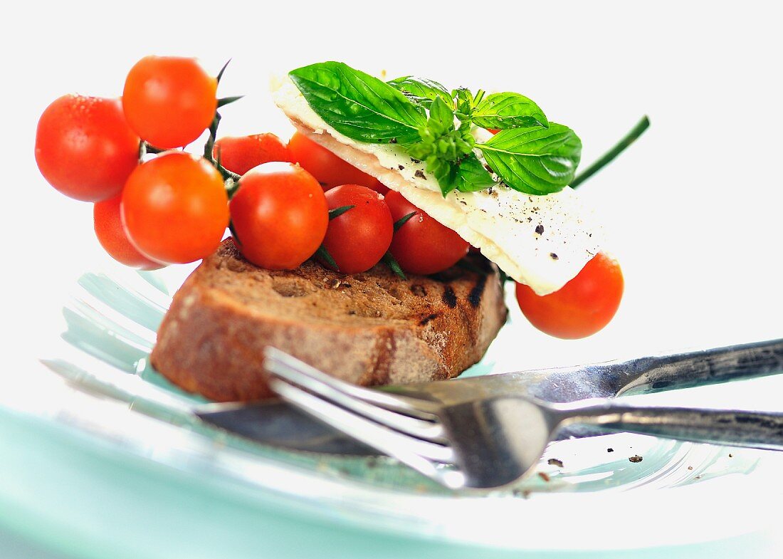 Röstbrot mit Tomaten, Mozzarella und Basilikum